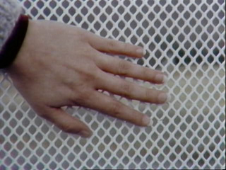 hand for scale of metal mesh